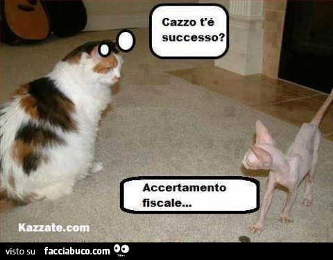 Vaccata