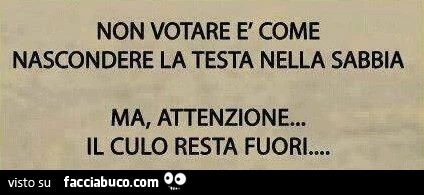Non votare è come nascondere la testa nella sabbia, ma attenzione, il culo resta fuori
