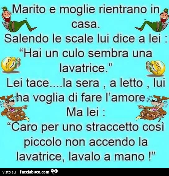 Hai un culo che sembra una lavatrice. Per uno straccetto così piccolo non accendo la lavatrice, lavalo a mano