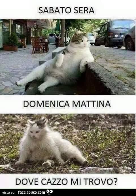 Sabato sera fare il figo sulla panchina. Domenica mattina perso nel prato: dove cazzo mi trovo?
