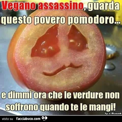 Vegano assassino, guarda questo povero pomodoro e dimmi ora che le verdure non soffrono quando te le mangi