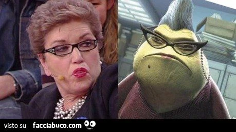 la somiglianza di mara maionchi