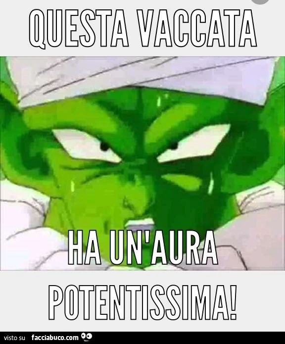 Vaccata