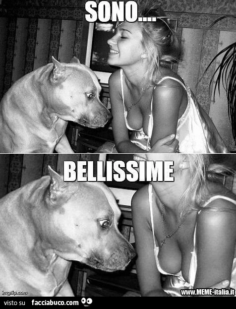 Il cane le fissa le tette: sono bellissime