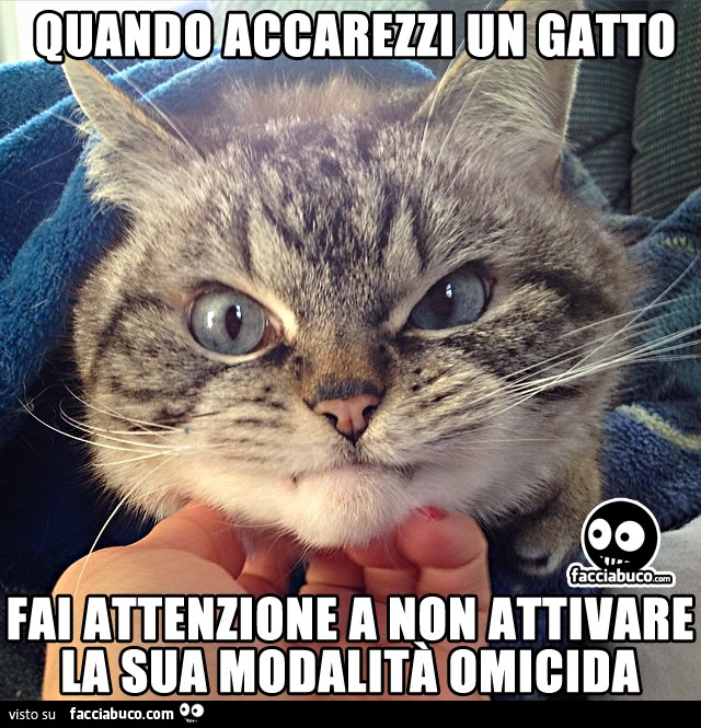 Quando accarezzi un gatto, fai attenzione a non attivare la sua modalità omicida