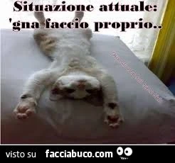 situazione attuale: 'gne a faccio proprio