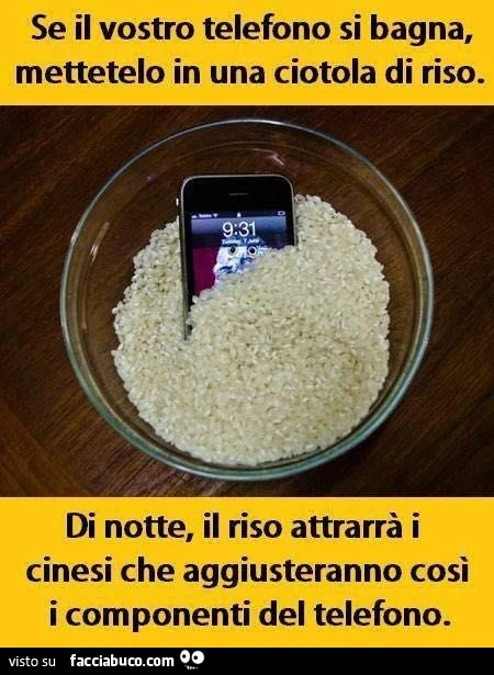 Se il vostro telefono si bagna mettetelo in una ciotola di riso. Di notte, il riso attrarrà i cinesi che aggiusteranno così i componenti del telefono