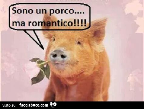 Sono un porco ma romantico