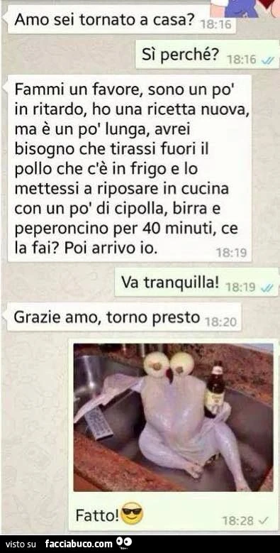 Fammi un favore, ho bisogno che tiri fuori il pollo che c'è in frigo e lo metti in cucina a riposare con un po' di cipolla, birra e peperoncino