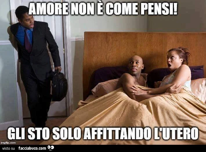 Amore non è come pensi! Gli sto solo affittando l'utero