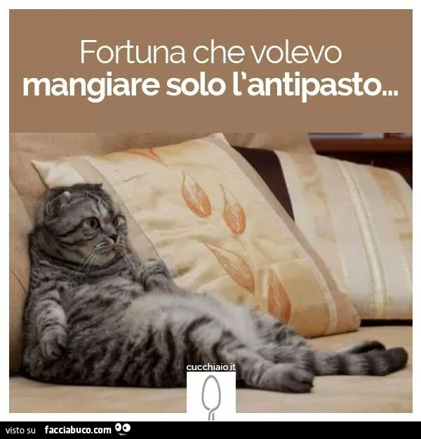 Fortuna che volevo mangiare solo l'antipasto