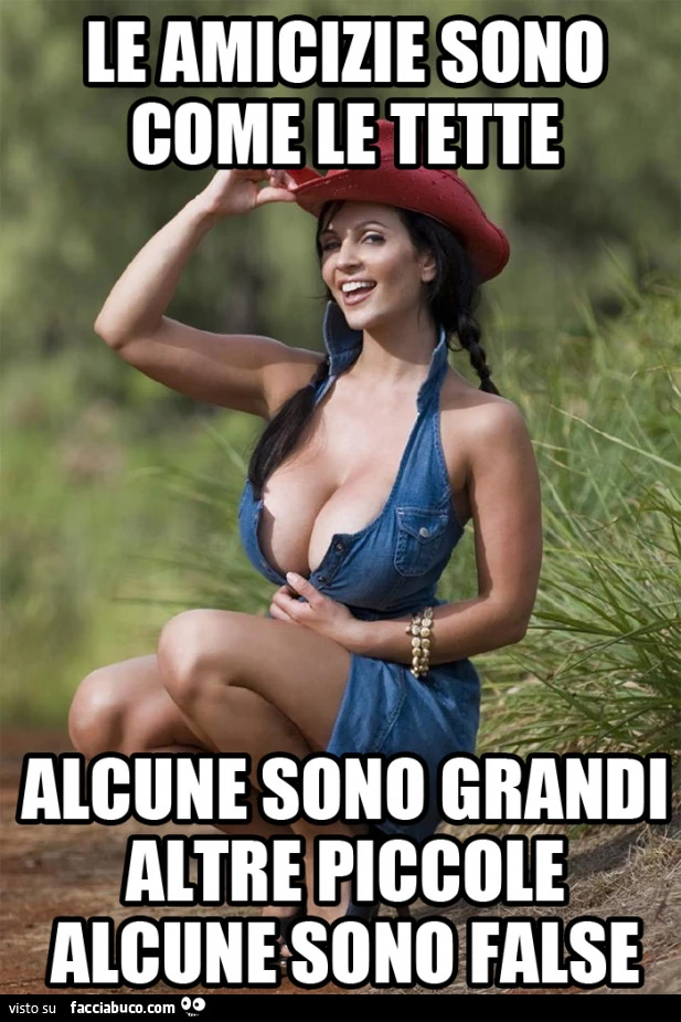 Le amicizie sono come le tette: alcune sono grandi, altre piccole e alcune sono false