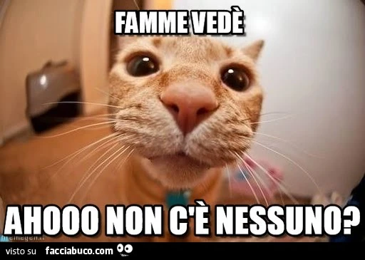 Famme vedè. Ahooo non c'è nessuno?