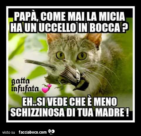 Papà come mai la micia ha un uccello in bocca? Eh si vede che è meno schizzinosa di tua madre