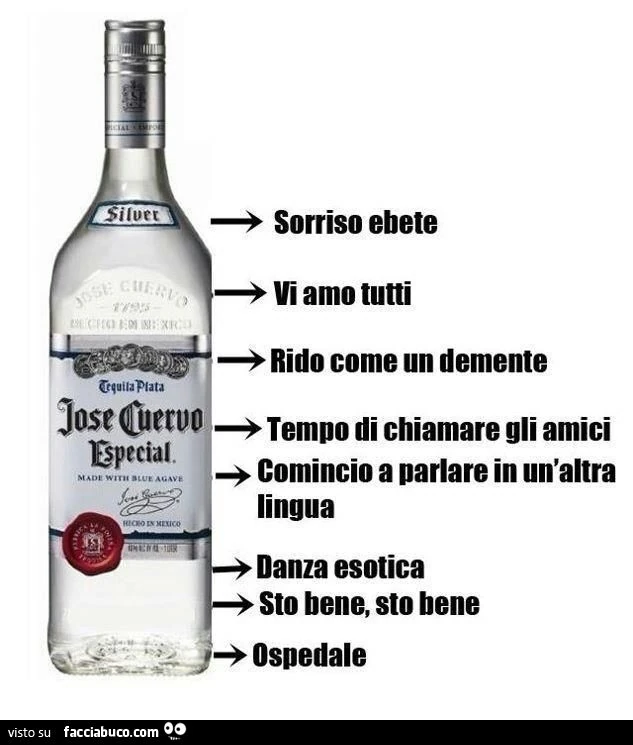 Gli effetti dell'alcol