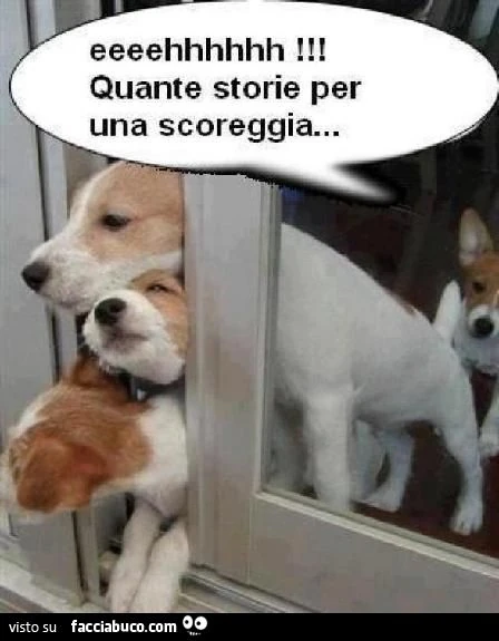 Eeeehhh quante storie per una scoreggia