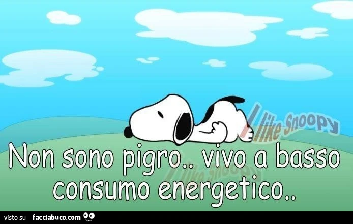 Non sono pigro, vivo a basso consumo energetico