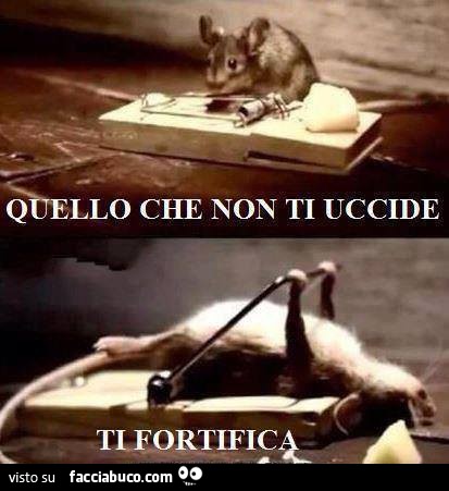 Quello che non ti uccide ti fortifica