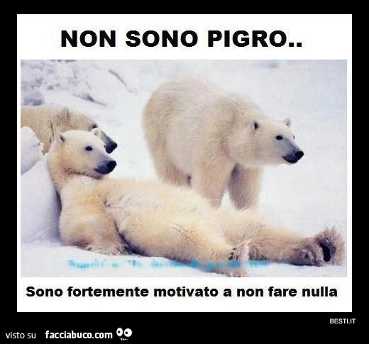 Non sono pigro, sono fortemente motivato a non fare nulla