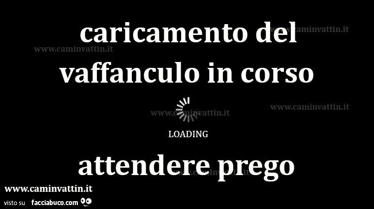 Caricamento del vaffanculo in corso. Attendere prego