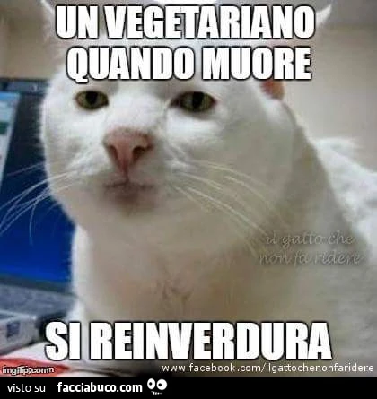 Un vegetariano quando muore si reinverdura