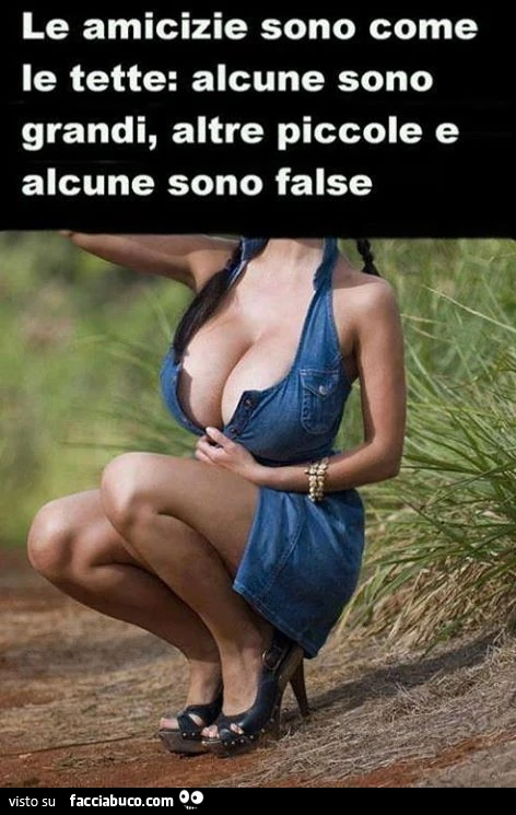 Le amicizie sono come le tette: alcune sono grandi, altre piccole e alcune sono false