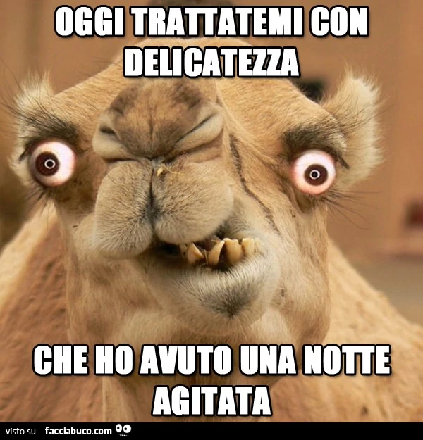 Oggi trattatemi con delicatezza che ho avuto una notte agitata