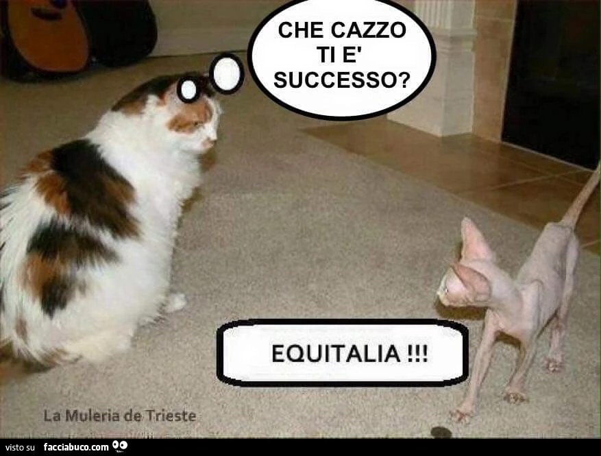 Che cazzo ti è successo? Equitalia