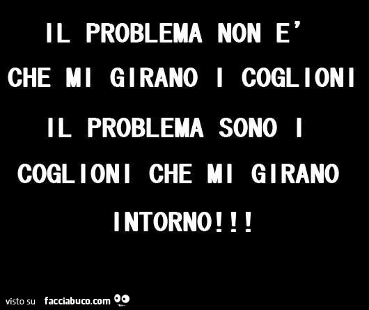 Il problema non è che mi girano i coglioni, il problema sono i coglioni che mi girano intorno