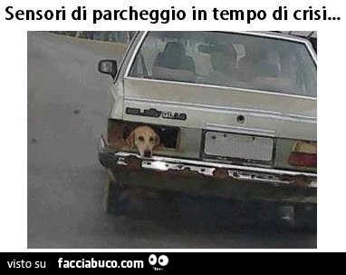 Sensori di parcheggio in tempo di crisi