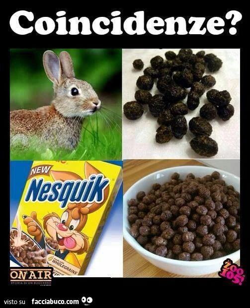 Nesquik come la cacca di coniglio. Coincidenze?