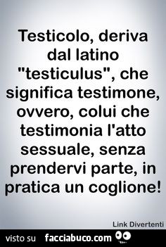 Testicolo, deriva dal latino "testiculum", che significa testimone, ovvero, colui che testimonia l'atto sessuale, senza prendervi parte, in pratica un coglione