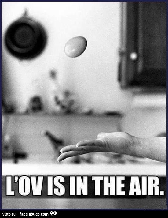 L'ov is in the air