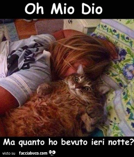 Oh mio Dio. Ma quanto ho bevuto ieri notte?