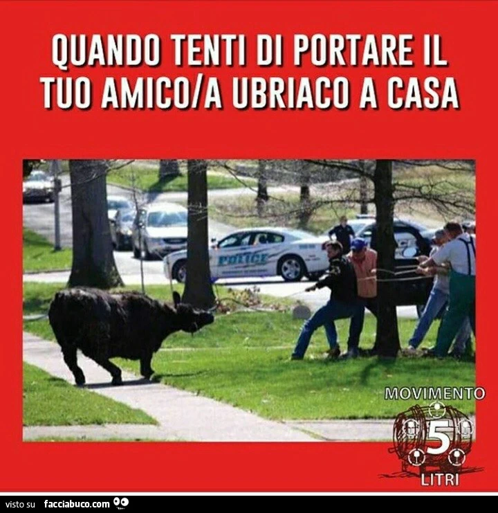 Quando tenti di portare il tuo amico ubriaco a casa