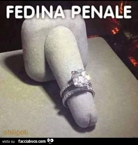 Fedina Penale