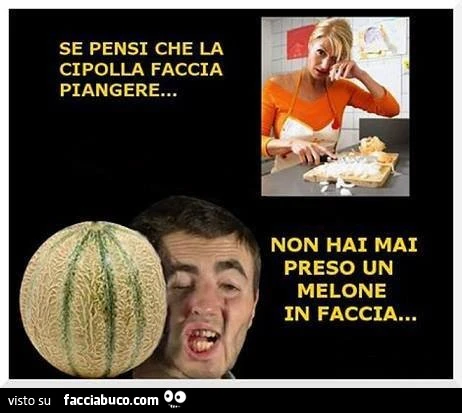 Se pensi che la cipolla faccia piangere… non hai ma preso un melone in faccia
