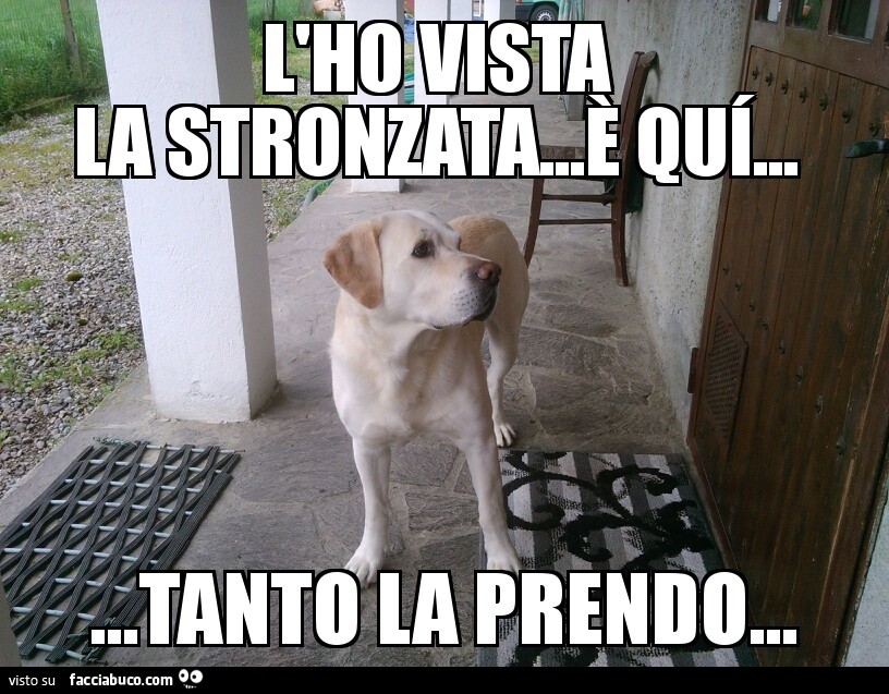 Vaccata