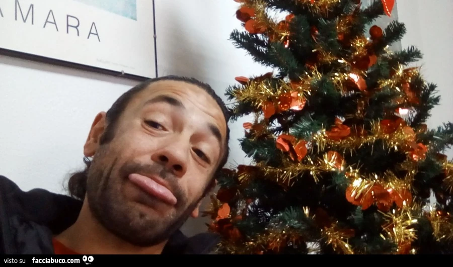 Foto di suboku e il suo albero di Natale