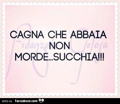Cagna che abbaia non morde! Succhia