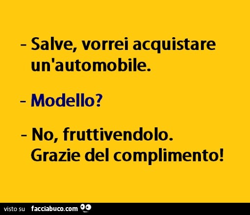 Salve, vorrei acquistare un'automobile. Modello? No fruttivendolo, grazie del complimento
