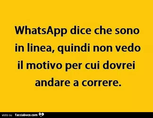 WhatsApp dice che sono in linea, quindi non vedo il motivo per cui dovrei andare a correre