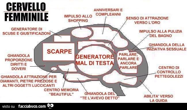 cervello femminile