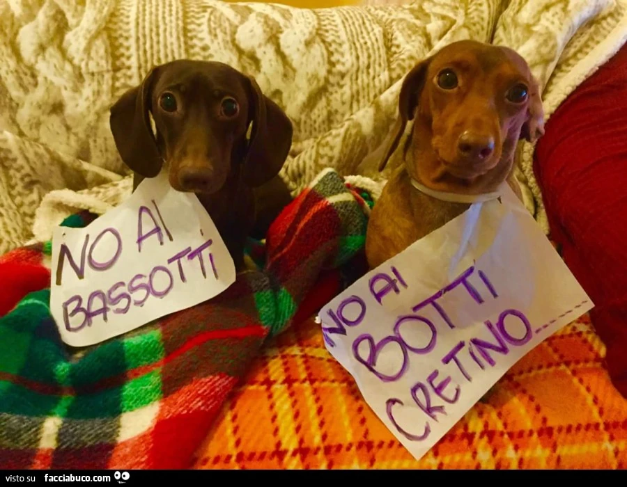 No ai bassotti! No ai botti cretino