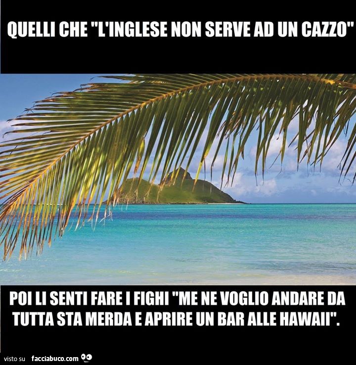 Quelli che l'inglese non serve ad un cazzo, poi li senti fare i fighi "me ne voglio andare da tutta sta merda e aprire un bar alle hawaii"