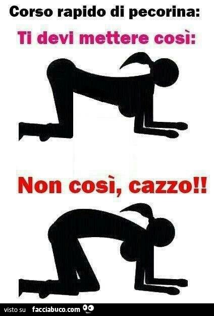 Corso rapido di pecorina: Ti devi mettere così, non così cazzo