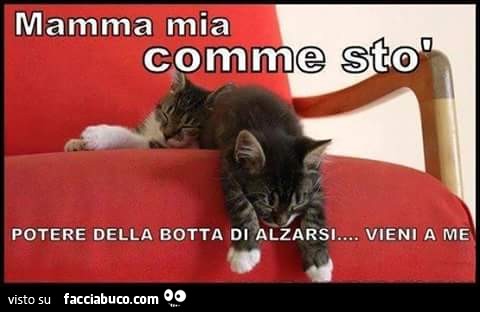 Mamma mia comme sto'... potere della botta di alzarsi vieni a me