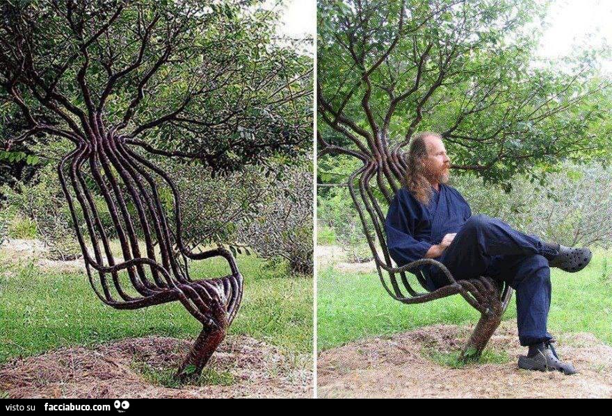 Rami dell'albero che formano una sedia