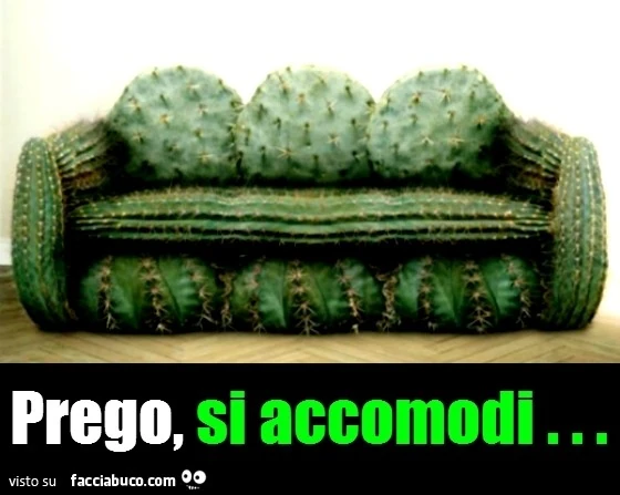 Vaccata