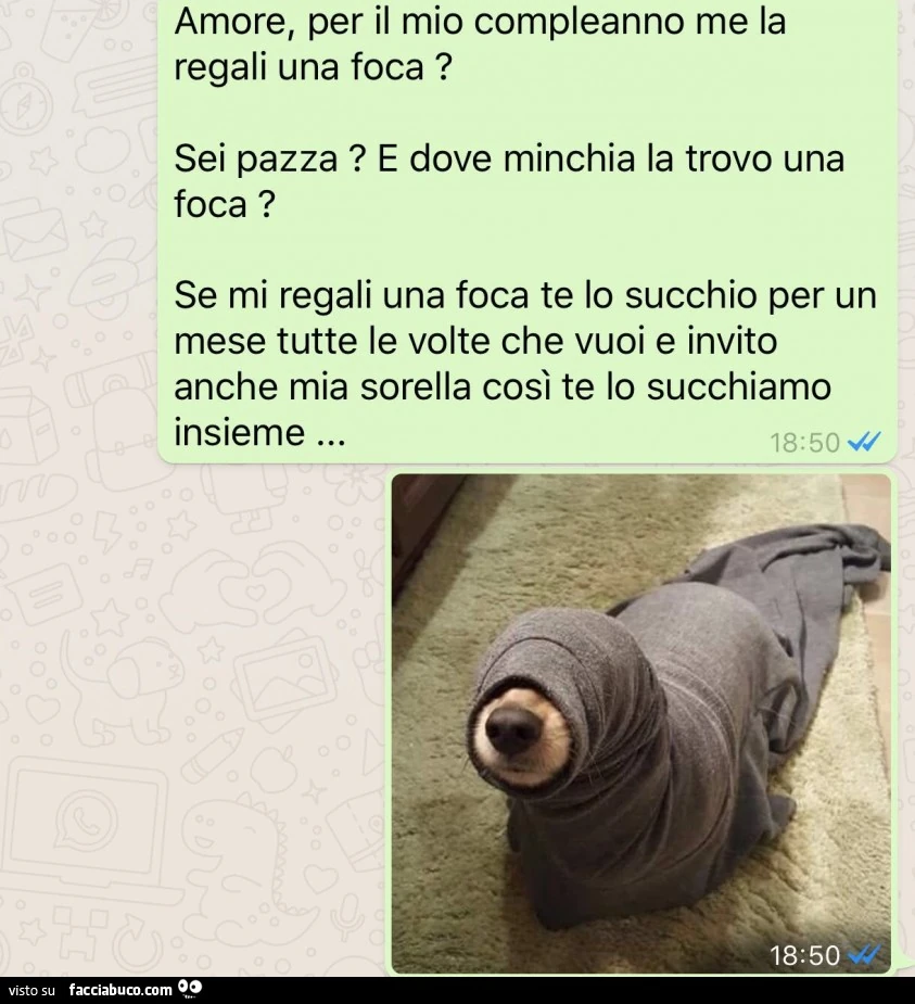 Amore, per il mio compleanno me la regali una foca? Sei pazza? E dove minchia la trovo una foca? Se mi regali una foca te lo succhio per un mese tutte le volte che vuoi e invito anche mia sorella così te lo succhiamo insieme
